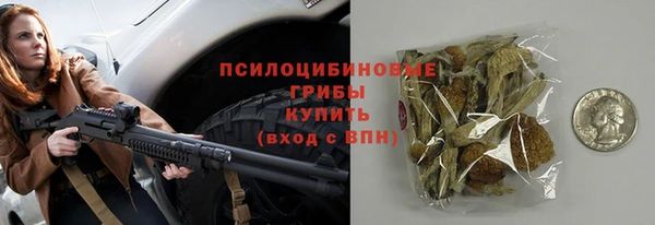 мяу мяу мука Елизово