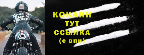 трава Ельня