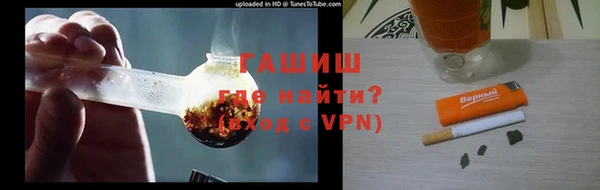 трава Ельня