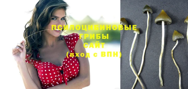 альфа пвп Заводоуковск